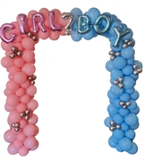 ARCO GENDER BOY OR GIRL (COMP 422)