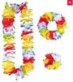 SET HAWAI MULTICOLORE LUSSO COLLANA CORONA BRACCIA (15577-9132X)