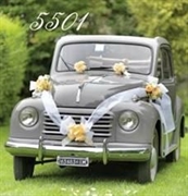 KIT DECORO AUTO FIOCCO (19288-5501 - COL)