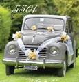 KIT DECORO AUTO FIOCCO (19288-5501 - COL)