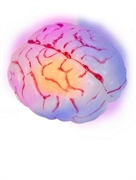 CERVELLO PLASTICA LUMINOSO CAMBIA COLORE (19469-81555)