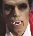 DENTIERA DA VAMPIRO DRACULA IN PLASTICA (19504-8402D)