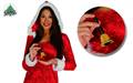 CAMPANELLA BABBO NATALE (20109-42732)