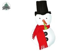 ACCESSORI PUPAZZO DI NEVE (20189-42637)