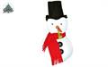 ACCESSORI PUPAZZO DI NEVE (20189-42637)
