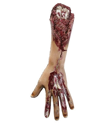 BRACCIO CON OSSA ESPOSTE 41CM (21299-00476)