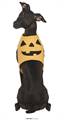 COSTUME ZUCCA CANE TAGLIA S (24111)