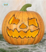 ZUCCA 20CM (25319-26283)
