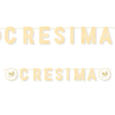 FESTONE KIT SCRITTA MAXI LA MIA CRESIMA 600X25CM (27500-73829)