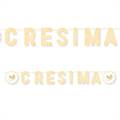 FESTONE KIT SCRITTA MAXI LA MIA CRESIMA 600X25CM (27500-73829)