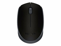 MOUSE WIRELESS (28109-MOUSE)