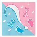 TOVAGLIOLI GENDER REVEAL PARTY 33X33CM 20PZ (74302)