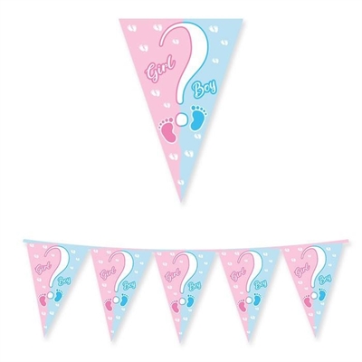 FESTONE BANDIERINE IN CARTONCINO GENDER REVEAL PARTY 300X30CM (74488)