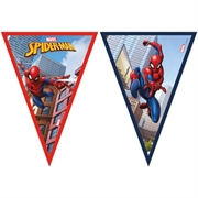 FESTONE BANDIERINE IN CARTONCINO SPIDERMAN 2M (93867P)