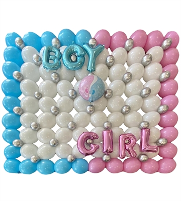 WALL GENDER REVEAL PARTY BOY GIRL? (COMP 254)