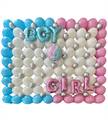 WALL GENDER REVEAL PARTY BOY GIRL? (COMP 254)