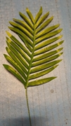 FIORI FINTI DECORATIVI PALMA (GR139)