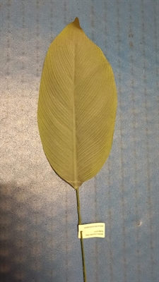 FIORI FINTI DECORATIVI FOGLIA DI BANANO (GR186F)