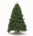 NOLEGGIO ALBERO DI NATALE 3 MT (SER2101)