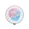 PIATTI IN CARTONCINO GENDER REVEAL 20CM 6PZ (75672)