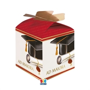 SCATOLINE CUBO PORTACONFETTI AD MAIORA 10PZ (76230)