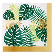 TOVAGLIOLI TROPICAL 33X33CM 16PZ (74334)