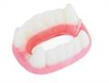 DENTIERA BIANCHE/ROSSE 1 KG (3562)