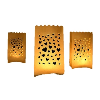 LANTERNE DA TERRA BIO ASS 5PZ (ST2304)