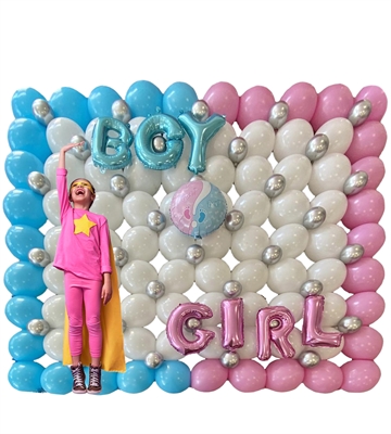 WALL GENDER REVEAL PARTY BOY GIRL? (COMP 254)