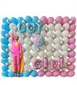 WALL GENDER REVEAL PARTY BOY GIRL? (COMP 254)